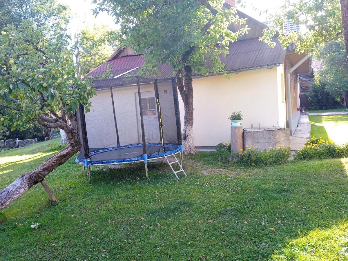 У Дядька Pension Pilipets Buitenkant foto