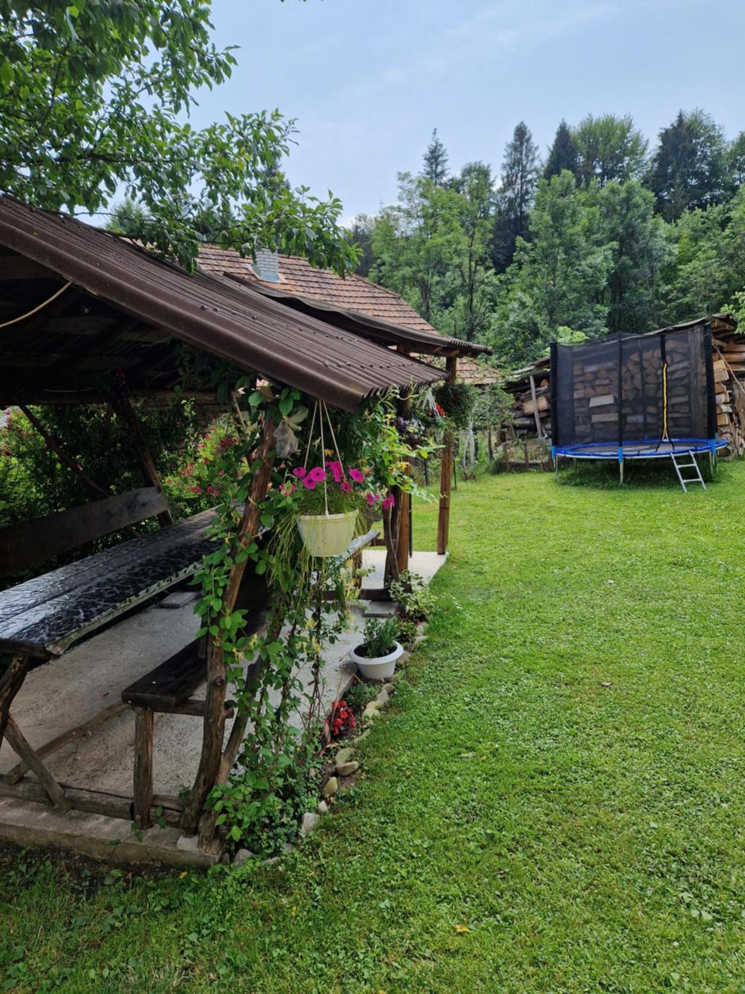 У Дядька Pension Pilipets Buitenkant foto